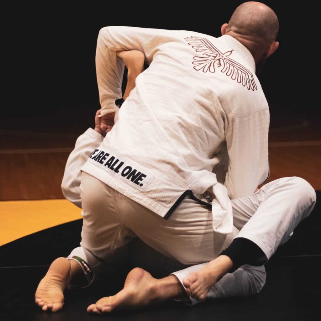 mastering techniques in BJJ for beginners